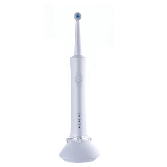 Cabeça de escova de dentes redonda OEM e ODM personalizável Ipx7 à prova d'água escova de dentes rotativa elétrica